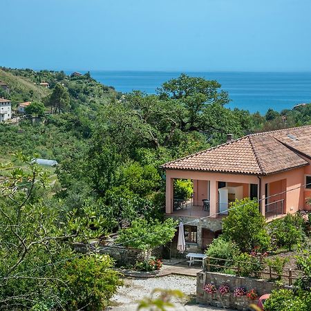 Il Melograno Bed & Breakfast Pollica Exterior photo